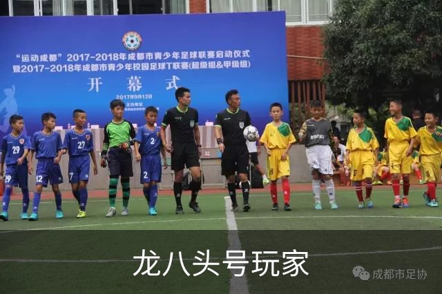 龙八头号玩家公司简介